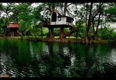 Photo of 9 Texas treehouses you can rent for the weekend